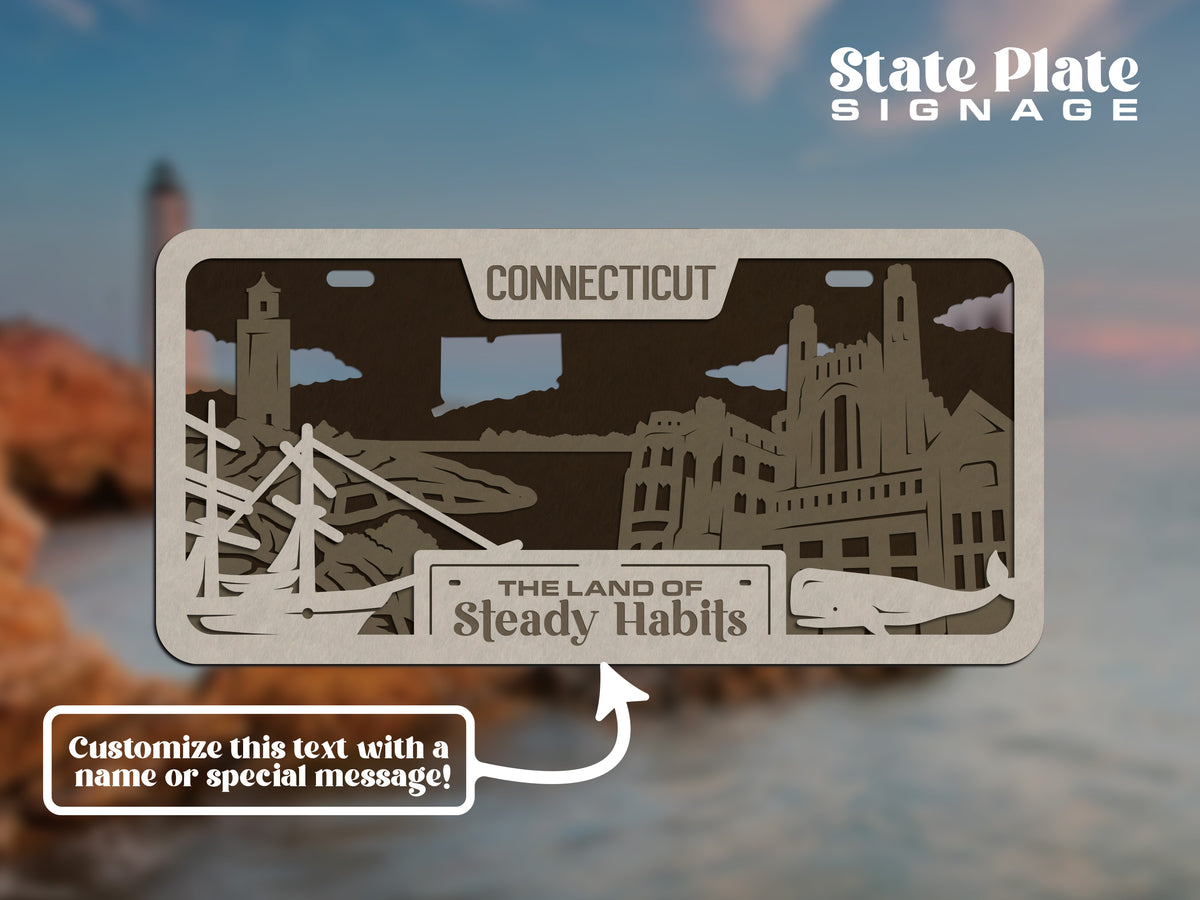 State License Plate Wall Decor