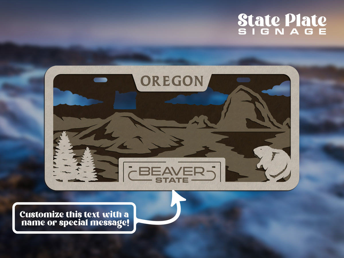 State License Plate Wall Decor