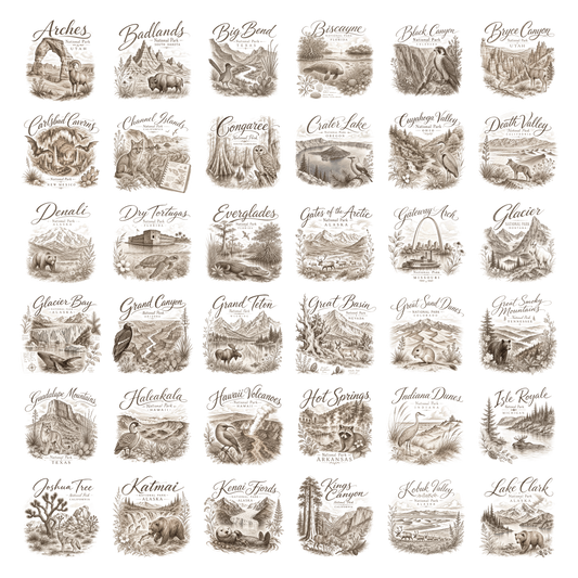 National Park Sketch Wall Decor